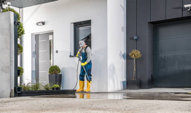 Best Driveway Pressure Washing  in Moores Mill, AL